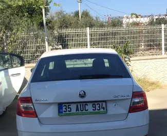 Autohuur Skoda Octavia #4839 Automatisch op de luchthaven van Antalya, uitgerust met 1,6L motor ➤ Van Sefa in Turkije.