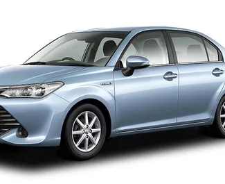 Vooraanzicht van een huurauto Toyota Corolla Axio op Mauritius Luchthaven, Mauritius ✓ Auto #7660. ✓ Transmissie Automatisch TM ✓ 0 beoordelingen.