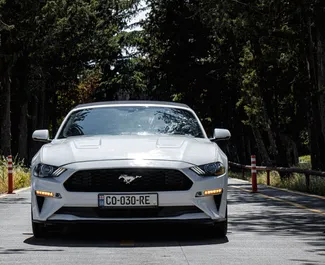 Autohuur Ford Mustang Cabrio #8032 Automatisch in Tbilisi, uitgerust met 2,3L motor ➤ Van Tamta in Georgië.