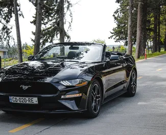 Vooraanzicht van een huurauto Ford Mustang Cabrio in Tbilisi, Georgië ✓ Auto #8031. ✓ Transmissie Automatisch TM ✓ 1 beoordelingen.