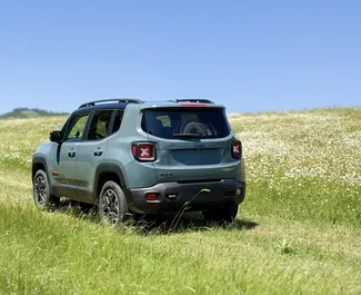 Verhuur Jeep Renegade. Economy, Comfort, Crossover Auto te huur in Georgië ✓ Borg van Zonder Borg ✓ Verzekeringsmogelijkheden TPL, CDW, SCDW, FDW, Passagiers, Diefstal.