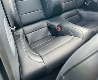 Verhuur Ford Mustang Cabrio. Premium, Luxe, Cabriolet Auto te huur in Wit-Rusland ✓ Borg van Zonder Borg ✓ Verzekeringsmogelijkheden TPL, CDW.